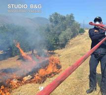 &Nu;έ&alpha; &mu;&epsilon;&gamma;ά&lambda;&eta; &phi;&omega;&tau;&iota;ά, έ&xi;&omega; &alpha;&pi;ό &tau;&omicron; Ά&rho;&gamma;&omicron;&sigmaf;!
