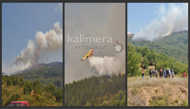 Υπό έλεγχο η φωτιά στα Άνω Δολιανά (εικόνες και βίντεο)