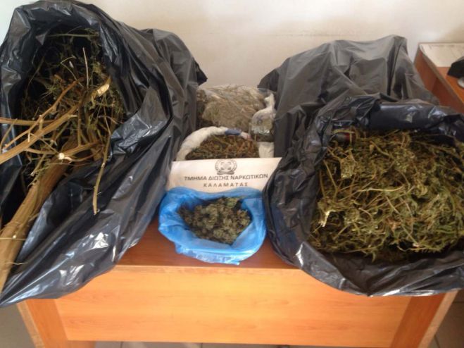 Μεσσηνία – Η αστυνομία βρήκε πάνω από 3 κιλά κάνναβης σε σπίτι και αποθήκη!