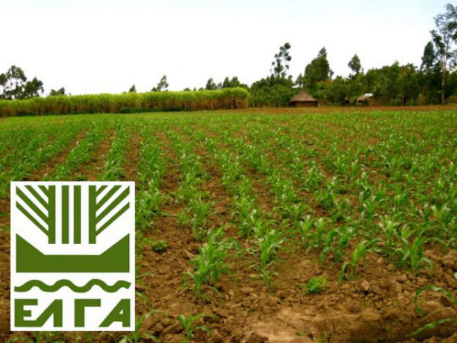Νέες ηλεκτρονικές υπηρεσίες του ΕΛΓΑ μπορύν να χρησιμοποιούν οι αγρότες της Αρκαδίας!