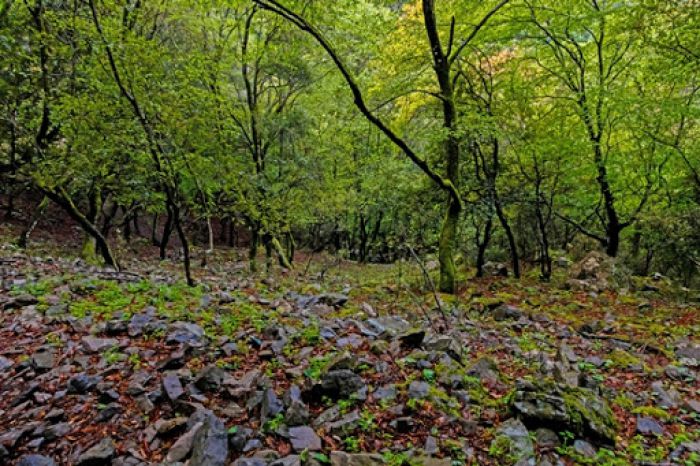 Ένωση Πατριωτικών Σωματείων Φαλαισιωτών | Συζητήθηκε η συνεργασία με την Mainalon Trail για την χάραξη των μονοπατιών στην Φαλαισία