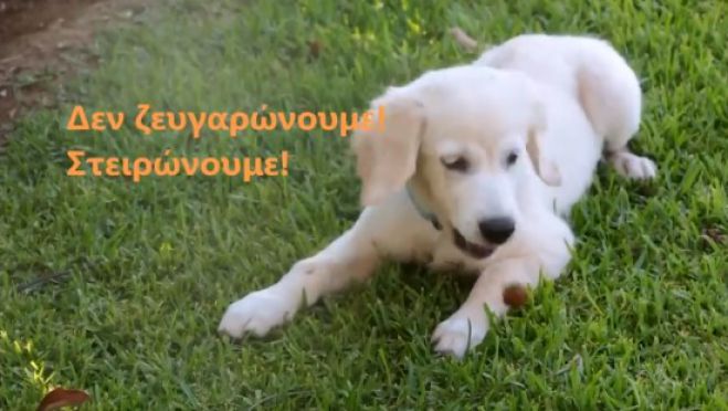 &Tau;&omicron; &beta;ί&nu;&tau;&epsilon;&omicron; &pi;&omicron;&upsilon; &epsilon;&tau;&omicron;ί&mu;&alpha;&sigma;&epsilon; &omicron; &Phi;&iota;&lambda;&omicron;&zeta;&omega;&iota;&kappa;ό&sigmaf; &gamma;&iota;&alpha; &tau;&alpha; &alpha;&delta;έ&sigma;&pi;&omicron;&tau;&alpha; &zeta;ώ&alpha;! (vd)