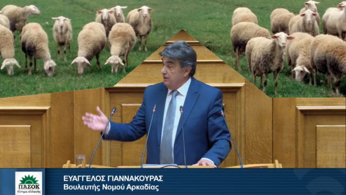 &Kappa;&rho;&omicron;ύ&sigma;&mu;&alpha;&tau;&alpha; &epsilon;&upsilon;&lambda;&omicron;&gamma;&iota;ά&sigmaf; | &Epsilon;&rho;ώ&tau;&eta;&sigma;&eta; &Gamma;&iota;&alpha;&nu;&nu;&alpha;&kappa;&omicron;ύ&rho;&alpha; &sigma;&tau;&eta; &Beta;&omicron;&upsilon;&lambda;ή &gamma;&iota;&alpha; &tau;&eta;&nu; &omicron;&iota;&kappa;&omicron;&nu;&omicron;&mu;&iota;&kappa;ή &kappa;&alpha;&tau;&alpha;&sigma;&tau;&rho;&omicron;&phi;ή &gamma;&iota;&alpha; &tau;&omicron;&upsilon;&sigmaf; &pi;&alpha;&rho;&alpha;&gamma;&omega;&gamma;&omicron;ύ&sigmaf; &tau;&rho;&iota;&phi;&upsilon;&lambda;&lambda;&iota;&omicron;ύ &sigma;&tau;&eta;&nu; &Alpha;&rho;&kappa;&alpha;&delta;ί&alpha;
