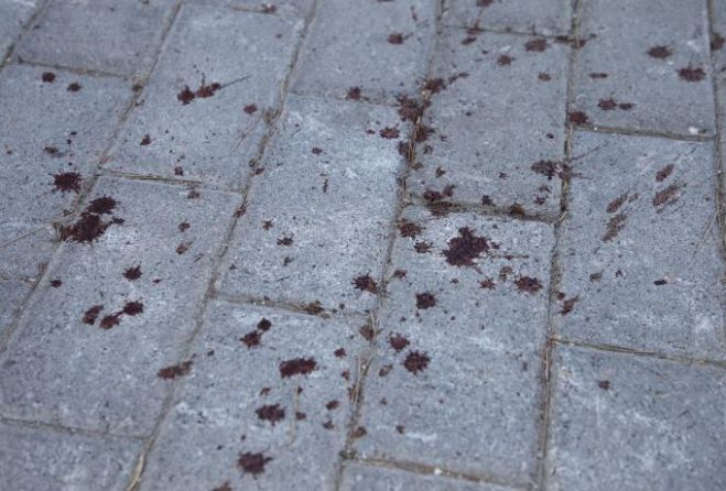 &Omicron;&pi;&alpha;&delta;ό&sigmaf; &tau;&omicron;&upsilon; &Pi;&alpha;&nu;&alpha;&theta;&eta;&nu;&alpha;ϊ&kappa;&omicron;ύ ύ&pi;&omicron;&pi;&tau;&omicron;&sigmaf; &gamma;&iota;&alpha; &tau;&eta;&nu; &delta;&omicron;&lambda;&omicron;&phi;&omicron;&nu;ί&alpha; &tau;&omicron;&upsilon; 29&chi;&rho;&omicron;&nu;&omicron;&upsilon; &Mu;&iota;&chi;ά&lambda;&eta; &sigma;&tau;&eta; &Nu;έ&alpha; &Phi;&iota;&lambda;&alpha;&delta;έ&lambda;&phi;&epsilon;&iota;&alpha;