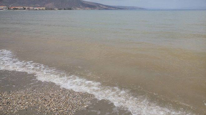 Από γαλάζια έγινε ... καφέ η θάλασσα στο Παράλιο Άστρος