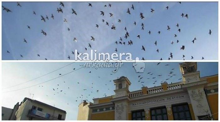 &Epsilon;&nu;&tau;&upsilon;&pi;&omega;&sigma;&iota;&alpha;&kappa;ό: &Sigma;&mu;ή&nu;&omicron;&sigmaf; &pi;&omicron;&upsilon;&lambda;&iota;ώ&nu; &pi;&epsilon;&tau;ά &pi;ά&nu;&omega; &alpha;&pi;ό &tau;&omicron; &Mu;&alpha;&lambda;&lambda;&iota;&alpha;&rho;&omicron;&pi;&omicron;ύ&lambda;&epsilon;&iota;&omicron;! (vd)