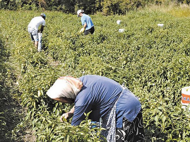 &Theta;&alpha; &kappa;&alpha;&theta;&omicron;&rho;&iota;&sigma;&tau;&epsilon;ί &omicron; &alpha;&rho;&iota;&theta;&mu;ό&sigmaf; &epsilon;&rho;&gamma;&alpha;&tau;ώ&nu; &gamma;&eta;&sigmaf; &tau;&rho;ί&tau;&omega;&nu; &chi;&omega;&rho;ώ&nu; &pi;&omicron;&upsilon; &epsilon;ί&nu;&alpha;&iota; &alpha;&nu;&alpha;&gamma;&kappa;&alpha;ί&omicron;&iota; &gamma;&iota;&alpha; &tau;&eta;&nu; &Alpha;&rho;&kappa;&alpha;&delta;ί&alpha;