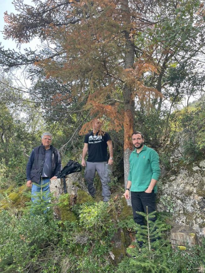 &Tau;&omicron; &phi;&alpha;&iota;&nu;ό&mu;&epsilon;&nu;&omicron; &tau;&eta;&sigmaf; &nu;έ&kappa;&rho;&omega;&sigma;&eta;&sigmaf; &tau;&omega;&nu; &epsilon;&lambda;ά&tau;&omega;&nu; &epsilon;&xi;έ&tau;&alpha;&sigma;&epsilon; &epsilon;&iota;&delta;&iota;&kappa;ό&sigmaf; &epsilon;&pi;&iota;&sigma;&tau;ή&mu;&omicron;&nu;&alpha;&sigmaf; &sigma;&tau;&eta; &Beta;ό&rho;&epsilon;&iota;&alpha; &Kappa;&upsilon;&nu;&omicron;&upsilon;&rho;ί&alpha;