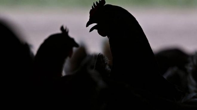 &Gamma;&rho;ί&pi;&eta; &pi;&tau;&eta;&nu;ώ&nu;: &Sigma;&tau;&eta;&nu; &kappa;&epsilon;&nu;&tau;&rho;&iota;&kappa;ή &Mu;&alpha;&kappa;&epsilon;&delta;&omicron;&nu;ί&alpha; &lambda;&alpha;&mu;&beta;ά&nu;&omicron;&upsilon;&nu; &mu;έ&tau;&rho;&alpha; &mu;&epsilon;&tau;ά &tau;&omicron; &kappa;&rho;&omicron;ύ&sigma;&mu;&alpha; &sigma;&tau;&eta;&nu; ... &Alpha;&rho;&kappa;&alpha;&delta;ί&alpha;!
