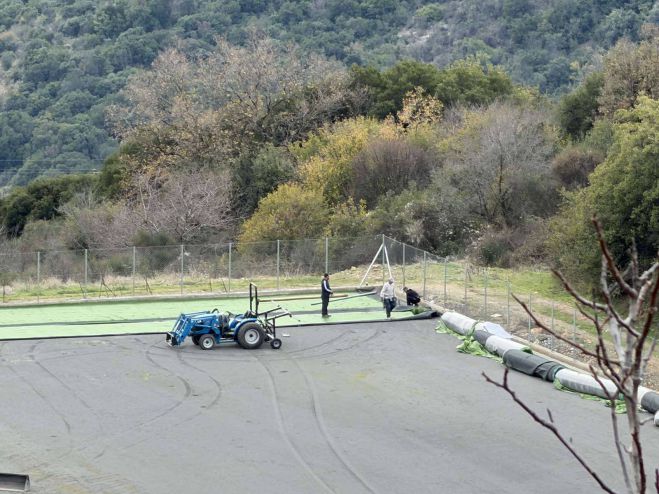 &Sigma;&tau;&eta;&nu; &tau;&epsilon;&lambda;&iota;&kappa;ή &epsilon;&upsilon;&theta;&epsilon;ί&alpha; &tau;&alpha; έ&rho;&gamma;&alpha; &sigma;&tau;&omicron; &gamma;ή&pi;&epsilon;&delta;&omicron; &Delta;&eta;&mu;&eta;&tau;&sigma;ά&nu;&alpha;&sigmaf; (&epsilon;&iota;&kappa;ό&nu;&epsilon;&sigmaf;)