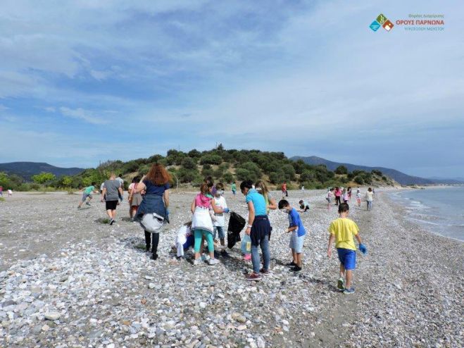 Περιβαλλοντικές δράσεις στα σχολεία Αγίου Ανδρέα και Δολιανών!