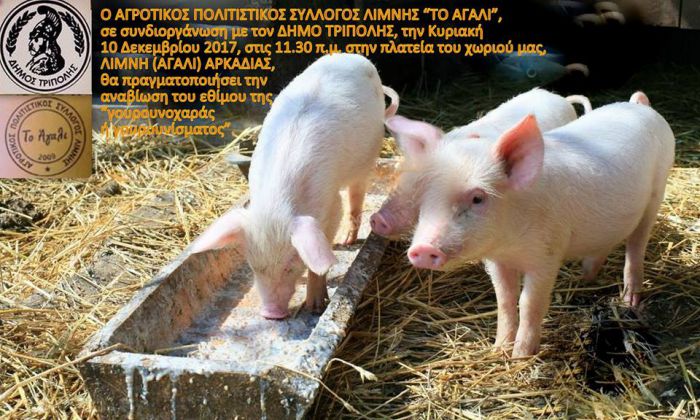 &Lambda;ί&mu;&nu;&eta; &Alpha;&rho;&kappa;&alpha;&delta;ί&alpha;&sigmaf; | &Alpha;&gamma;&alpha;&lambda;&alpha;ίϊ&kappa;&eta; &gamma;&iota;&omicron;&rho;&tau;ή &kappa;&alpha;&iota; έ&theta;&iota;&mu;&omicron; &tau;&eta;&sigmaf; &gamma;&omicron;&upsilon;&rho;&nu;&omicron;&chi;&alpha;&rho;ά&sigmaf;