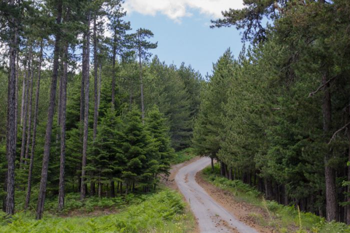 &Sigma;&tau;&omicron;&nu; &Pi;ά&rho;&nu;&omega;&nu;&alpha; &epsilon;&xi;&omicron;&rho;&mu;ά &omicron; &Sigma;&Alpha;&Omicron;&Omicron;