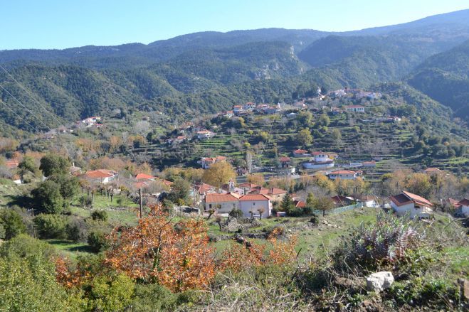 Νέα διοίκηση στην Αδελφότητα Δυρραχιτών Αττικής