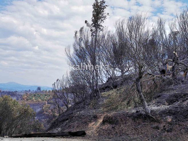 &Pi;&epsilon;&tau;&rho;ά&kappa;&omicron;&sigmaf;, &Lambda;&upsilon;&mu;&pi;&epsilon;&rho;&omicron;&pi;&omicron;ύ&lambda;&omicron;&upsilon; &kappa;&alpha;&iota; &Delta;&eta;&mu;&eta;&tau;&rho;&alpha;&kappa;&omicron;&pi;&omicron;ύ&lambda;&omicron;&upsilon; &theta;&alpha; &epsilon;&pi;&iota;&sigma;&kappa;&epsilon;&phi;&theta;&omicron;ύ&nu; &tau;&eta;&nu; &pi;&upsilon;&rho;ό&pi;&lambda;&eta;&kappa;&tau;&eta; &Gamma;&omicron;&rho;&tau;&upsilon;&nu;ί&alpha;