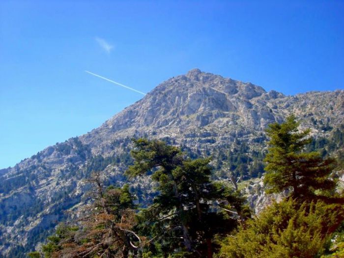 &Sigma;&tau;&omicron; &Alpha;&rho;&tau;&epsilon;&mu;ί&sigma;&iota;&omicron; &epsilon;&xi;&omicron;&rho;&mu;ά &omicron; &Sigma;&Alpha;&Omicron;&Omicron;