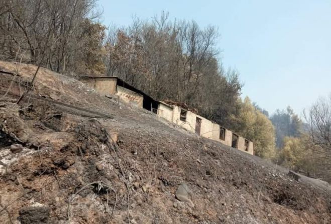 Γορτυνία | Ξεκινά η υποβολή δηλώσεων ζημιάς φυτικού κεφαλαίου από τις πρόσφατες πυρκαγιές στον ΕΛ.Γ.Α.