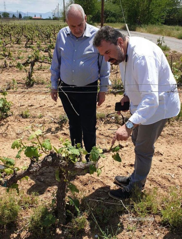 &Sigma;&Upsilon;&Rho;&Iota;&Zeta;&Alpha;: "&Pi;&lambda;ή&rho;&epsilon;&iota;&sigmaf; &kappa;&alpha;&iota; &delta;ί&kappa;&alpha;&iota;&epsilon;&sigmaf; &alpha;&pi;&omicron;&zeta;&eta;&mu;&iota;ώ&sigma;&epsilon;&iota;&sigmaf; &gamma;&iota;&alpha; &tau;&iota;&sigmaf; &zeta;&eta;&mu;&iota;έ&sigmaf; &alpha;&pi;ό &tau;&omicron; &chi;&alpha;&lambda;ά&zeta;&iota; &sigma;&tau;&eta;&nu; &Mu;&alpha;&nu;&tau;&iota;&nu;&epsilon;ί&alpha;"