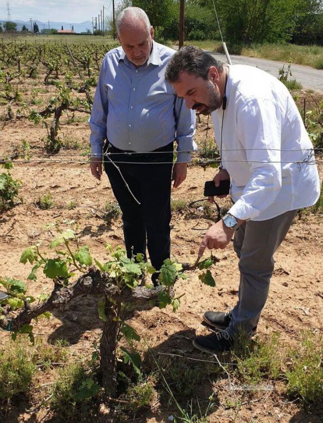 &Sigma;&Upsilon;&Rho;&Iota;&Zeta;&Alpha;: "&Pi;&lambda;ή&rho;&epsilon;&iota;&sigmaf; &kappa;&alpha;&iota; &delta;ί&kappa;&alpha;&iota;&epsilon;&sigmaf; &alpha;&pi;&omicron;&zeta;&eta;&mu;&iota;ώ&sigma;&epsilon;&iota;&sigmaf; &gamma;&iota;&alpha; &tau;&iota;&sigmaf; &zeta;&eta;&mu;&iota;έ&sigmaf; &alpha;&pi;ό &tau;&omicron; &chi;&alpha;&lambda;ά&zeta;&iota; &sigma;&tau;&eta;&nu; &Mu;&alpha;&nu;&tau;&iota;&nu;&epsilon;ί&alpha;"