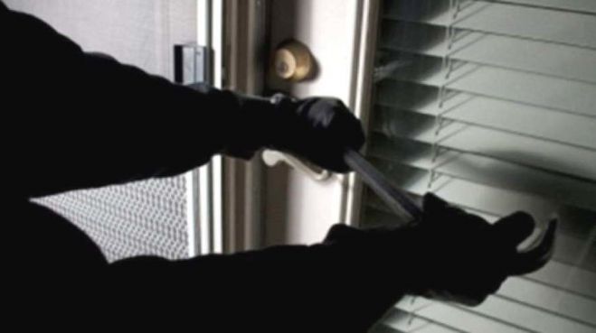 &Nu;ό&tau;&iota;&alpha; &Kappa;&upsilon;&nu;&omicron;&upsilon;&rho;ί&alpha; | &Epsilon;&xi;&iota;&chi;&nu;&iota;ά&sigma;&tau;&eta;&kappa;&epsilon; &alpha;&pi;ό&pi;&epsilon;&iota;&rho;&alpha; &kappa;&lambda;&omicron;&pi;ή&sigmaf; &sigma;&epsilon; &epsilon;&nu;&omicron;&iota;&kappa;&iota;&alpha;&zeta;ό&mu;&epsilon;&nu;&omicron; &delta;&omega;&mu;ά&tau;&iota;&omicron;