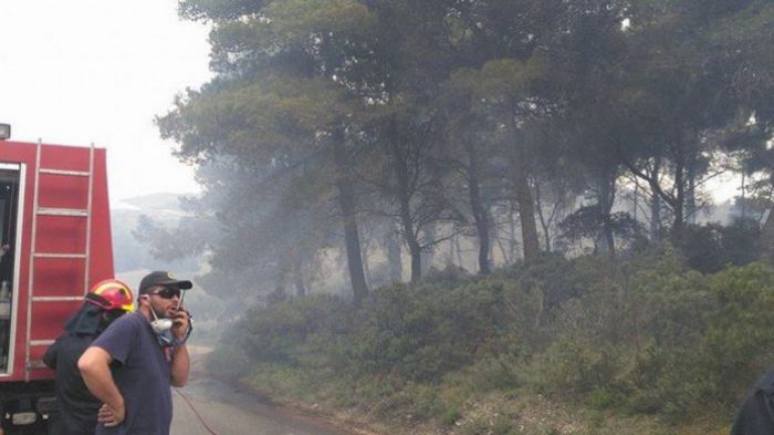 Καλάβρυτα | Εξαφανίστηκε 12χρονος - Συνεχίζονται οι έρευνες