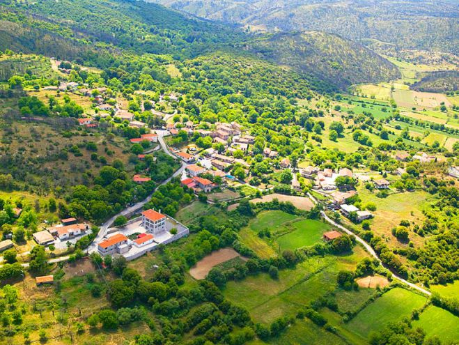 &Eta; &gamma;&iota;&omicron;&rho;&tau;ή &tau;&omicron;&upsilon; &Alpha;&gamma;ί&omicron;&upsilon; &Delta;&eta;&mu;&eta;&tau;&rho;ί&omicron;&upsilon; &sigma;&tau;&iota;&sigmaf; &Alpha;&rho;&alpha;&chi;&alpha;&mu;ί&tau;&epsilon;&sigmaf;