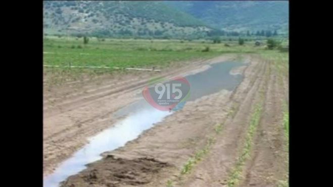 &Kappa;&alpha;&nu;&delta;ή&lambda;&alpha; | &Alpha;&pi;ό&gamma;&nu;&omega;&sigma;&eta; &pi;&alpha;&rho;&alpha;&gamma;&omega;&gamma;ώ&nu; &gamma;&iota;&alpha; &tau;&iota;&sigmaf; &zeta;&eta;&mu;&iota;έ&sigmaf; &alpha;&pi;ό &tau;&omicron; &chi;&alpha;&lambda;ά&zeta;&iota;- &Alpha;&upsilon;&tau;&omicron;&psi;ί&alpha; &Epsilon;&Lambda;&Gamma;&Alpha;-&Gamma;&iota;&alpha;&nu;&nu;&alpha;&kappa;&omicron;ύ&rho;&alpha; (vd)