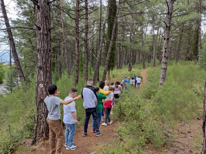 &Pi;&epsilon;&rho;ί&pi;&alpha;&tau;&omicron;&sigmaf; &sigma;&tau;&omicron; ά&lambda;&sigma;&omicron;&sigmaf; &Pi;&alpha;&nu;&alpha;&rho;&kappa;ά&delta;&omega;&nu; &mu;&epsilon; &tau;&omicron;&upsilon;&sigmaf; &omega;&phi;&epsilon;&lambda;&omicron;ύ&mu;&epsilon;&nu;&omicron;&upsilon;&sigmaf; &tau;&omicron;&upsilon; &Kappa;&Delta;&Alpha;&Pi; &Alpha;&Mu;&Epsilon;&Alpha; &delta;ή&mu;&omicron;&upsilon; &Tau;&rho;ί&pi;&omicron;&lambda;&eta;&sigmaf;