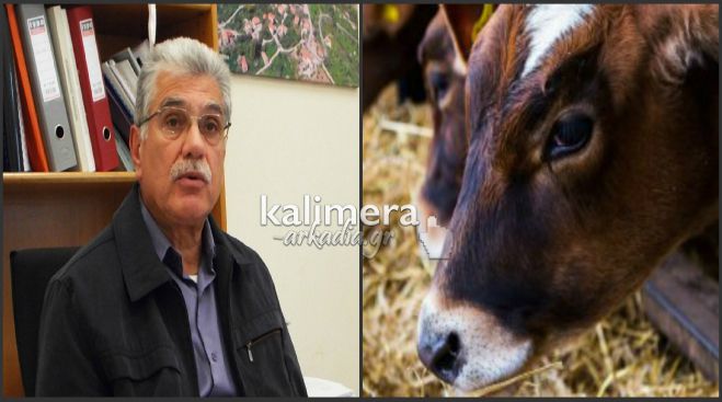 Απαγορεύθηκαν οι μετακινήσεις βοοειδών από την Τουρκία στην περιφέρεια Πελοποννήσου! (vd)