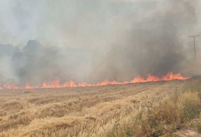 &Delta;ύ&omicron; &tau;&rho;&alpha;&upsilon;&mu;&alpha;&tau;ί&epsilon;&sigmaf; &sigma;&epsilon; &phi;&omega;&tau;&iota;ά &tau;&eta;&sigmaf; &Mu;&epsilon;&sigma;&sigma;&eta;&nu;ί&alpha;&sigmaf;