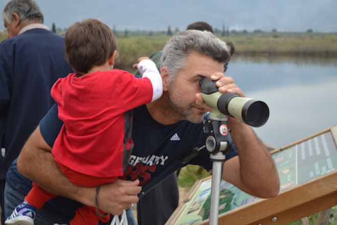 Παρατήρηση της άγριας ορνιθοπανίδας σήμερα στη λίμνη Μουστού (vd)