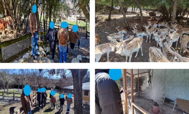 &Sigma;&tau;έ&gamma;&epsilon;&sigmaf; &Upsilon;&pi;&omicron;&sigma;&tau;&eta;&rho;&iota;&zeta;ό&mu;&epsilon;&nu;&eta;&sigmaf; &Delta;&iota;&alpha;&beta;ί&omega;&sigma;&eta;&sigmaf; &laquo;&Theta;έ&tau;&iota;&sigmaf;&raquo; &amp; &laquo;&Phi;&alpha;ί&delta;&omega;&nu;&raquo; | &Epsilon;&kappa;&delta;&rho;&omicron;&mu;ή &sigma;&tau;&eta;&nu; &Kappa;&alpha;&rho;ύ&tau;&alpha;&iota;&nu;&alpha;