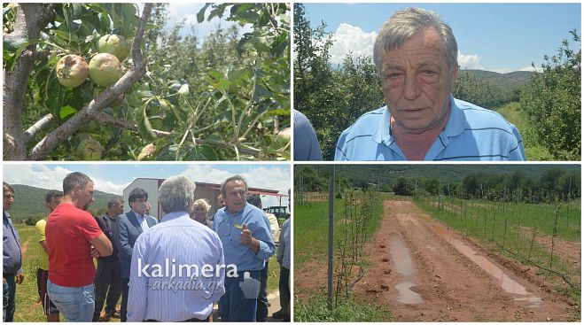 &quot;Καταστραφήκαμε&quot; λένε οι παραγωγοί στα Βούρβουρα - &quot;Παγώστε τα χρέη μας, δεν θα έχουμε να φάμε&quot; (vd)