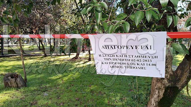 &Tau;&rho;ί&pi;&omicron;&lambda;&eta; | &Kappa;&upsilon;&kappa;&lambda;&omicron;&phi;&omicron;&rho;&iota;&alpha;&kappa;έ&sigmaf; &rho;&upsilon;&theta;&mu;ί&sigma;&epsilon;&iota;&sigmaf; &gamma;&iota;&alpha; &tau;&eta;&nu; &kappa;&eta;&delta;&epsilon;ί&alpha; &tau;&omicron;&upsilon; &Mu;ά&rho;&iota;&omicron;&upsilon; &Tau;&omicron;&upsilon;&rho;&omicron;ύ&tau;&sigma;&iota;&kappa;&alpha;