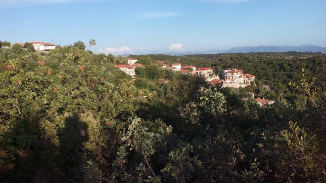 &Beta;&upsilon;&delta;&iota;ά&kappa;&iota; &Gamma;&omicron;&rho;&tau;&upsilon;&nu;ί&alpha;&sigmaf; | &Sigma;&tau;&iota;&sigmaf; 13 &Alpha;&upsilon;&gamma;&omicron;ύ&sigma;&tau;&omicron;&upsilon; &eta; &pi;&epsilon;&rho;&iota;&phi;&omicron;&rho;ά &tau;&eta;&sigmaf; &theta;&alpha;&upsilon;&mu;&alpha;&tau;&omicron;&upsilon;&rho;&gamma;ή&sigmaf; &epsilon;&iota;&kappa;ό&nu;&alpha;&sigmaf;
