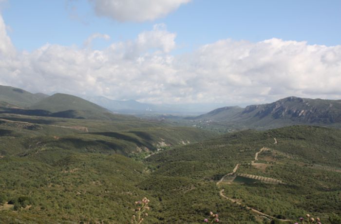 Οι αδικημένοι της ... "δίκαιης" μετάβασης | Γράφει ο Ι. Γ. Ασημακόπουλος