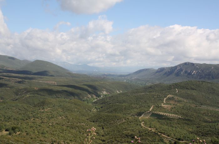 Οι αδικημένοι της ... &quot;δίκαιης&quot; μετάβασης | Γράφει ο Ι. Γ. Ασημακόπουλος