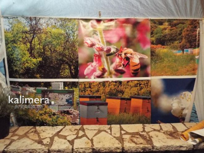 &Omicron;&iota; &kappa;&alpha;&lambda;&omicron;&kappa;&alpha;&iota;&rho;&iota;&nu;έ&sigmaf; &epsilon;&kappa;&delta;&eta;&lambda;ώ&sigma;&epsilon;&iota;&sigmaf; &sigma;&tau;&omicron; &chi;&omega;&rho;&iota;ό &Rho;&omicron;&epsilon;&iota;&nu;ό