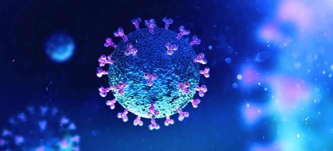 &Tau;&epsilon;&sigma;&tau; &gamma;&iota;&alpha; &tau;&omicron;&nu; &kappa;&omicron;&rho;&omega;&nu;&omicron;ϊό &sigma;&epsilon; 20 &delta;&epsilon;&upsilon;&tau;&epsilon;&rho;ό&lambda;&epsilon;&pi;&tau;&alpha;!