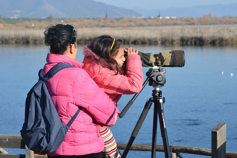 &Epsilon;&iota;&kappa;ό&nu;&epsilon;&sigmaf; &alpha;&pi;ό &tau;&eta;&nu;  &epsilon;&kappa;&delta;ή&lambda;&omega;&sigma;&eta; &pi;&alpha;&rho;&alpha;&tau;ή&rho;&eta;&sigma;&eta;&sigmaf; &pi;&omicron;&upsilon;&lambda;&iota;ώ&nu; &sigma;&tau;&omicron;&nu; &upsilon;&gamma;&rho;ό&tau;&omicron;&pi;&omicron; &Mu;&omicron;&upsilon;&sigma;&tau;&omicron;ύ &Kappa;&upsilon;&nu;&omicron;&upsilon;&rho;ί&alpha;&sigmaf;
