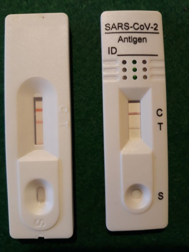 &Pi;&omicron;ί&eta;&mu;&alpha; &gamma;&iota;&alpha; &tau;&omicron;&nu; covid &alpha;&pi;ό &tau;&omicron; &Gamma;&kappa;&omicron;&rho;&tau;&sigma;&omicron;ύ&lambda;&iota; | "&Mu;&pi;ή&kappa;&epsilon; &sigma;&tau;&omicron; &sigma;ώ&mu;&alpha; &omicron; &iota;ό&sigmaf; ...  &Kappa;&iota; &alpha;&sigmaf; &beta;ά&lambda;&epsilon;&iota; &tau;&omicron; &chi;έ&rho;&iota; &tau;&omicron;&upsilon; &omicron; &Theta;&epsilon;ό&sigmaf;!"