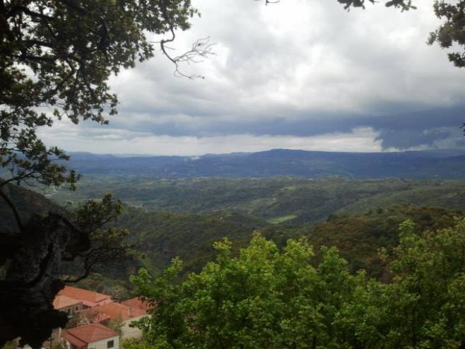 &Gamma;&omicron;&rho;&tau;&upsilon;&nu;ί&alpha; - &Nu;έ&alpha; έ&rho;&gamma;&alpha; &sigma;&epsilon; &Beta;&omicron;ύ&tau;&sigma;&iota;, &Pi;&epsilon;&rho;&delta;&iota;&kappa;&omicron;&nu;έ&rho;&iota;, &Sigma;&pi;ά&theta;&alpha;&rho;&eta; &kappa;&alpha;&iota; &Alpha;&epsilon;&tau;&omicron;&rho;&rho;ά&chi;&eta;!