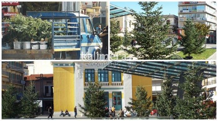 Ένα δάσος γεμάτο έλατα «ξεφύτρωσε» στην Τρίπολη (εικόνες)