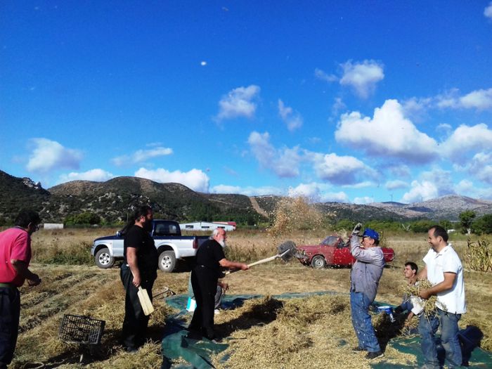 &Mu;ά&zeta;&epsilon;&psi;&epsilon; ... &rho;&epsilon;&beta;ί&theta;&iota;&alpha; &sigma;&tau;&omicron;&nu; &Epsilon;ύ&alpha;&nu;&delta;&rho;&omicron; &omicron; &Mu;&eta;&tau;&rho;&omicron;&pi;&omicron;&lambda;ί&tau;&eta;&sigmaf; &Alpha;&lambda;έ&xi;&alpha;&nu;&delta;&rho;&omicron;&sigmaf;! (&epsilon;&iota;&kappa;ό&nu;&epsilon;&sigmaf;)