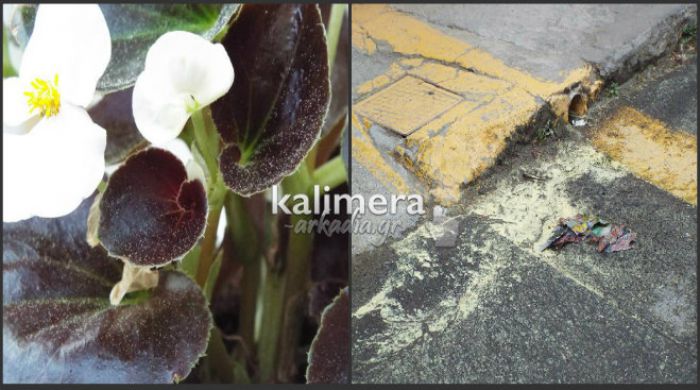 &Gamma;έ&mu;&iota;&sigma;&epsilon; &mu;&epsilon; &gamma;ύ&rho;&eta; &omicron;&lambda;ό&kappa;&lambda;&eta;&rho;&eta; &eta; &pi;ό&lambda;&eta;! (&epsilon;&iota;&kappa;ό&nu;&epsilon;&sigmaf;)