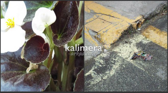 &Gamma;έ&mu;&iota;&sigma;&epsilon; &mu;&epsilon; &gamma;ύ&rho;&eta; &omicron;&lambda;ό&kappa;&lambda;&eta;&rho;&eta; &eta; &pi;ό&lambda;&eta;! (&epsilon;&iota;&kappa;ό&nu;&epsilon;&sigmaf;)