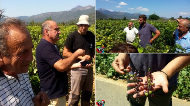 &Sigma;&tau;&eta;&nu; &Alpha;&rho;&kappa;&alpha;&delta;ί&alpha; &omicron; &pi;&rho;ό&epsilon;&delta;&rho;&omicron;&sigmaf; &tau;&omicron;&upsilon; &Epsilon;&Lambda;&Gamma;&Alpha; | &Tau;&iota; &epsilon;ί&pi;&epsilon; &gamma;&iota;&alpha; &alpha;&pi;&omicron;&zeta;&eta;&mu;&iota;ώ&sigma;&epsilon;&iota;&sigmaf; &mu;&epsilon;&tau;ά &tau;&iota;&sigmaf; &tau;&epsilon;&lambda;&epsilon;&upsilon;&tau;&alpha;ί&epsilon;&sigmaf; &zeta;&eta;&mu;&iota;έ&sigmaf; &sigma;&epsilon; &pi;&alpha;&tau;ά&tau;&epsilon;&sigmaf; &kappa;&alpha;&iota; &mu;&omicron;&sigma;&chi;&omicron;&phi;ί&lambda;&epsilon;&rho;&omicron; (vd)