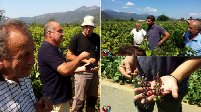 &Sigma;&tau;&eta;&nu; &Alpha;&rho;&kappa;&alpha;&delta;ί&alpha; &omicron; &pi;&rho;ό&epsilon;&delta;&rho;&omicron;&sigmaf; &tau;&omicron;&upsilon; &Epsilon;&Lambda;&Gamma;&Alpha; | &Tau;&iota; &epsilon;ί&pi;&epsilon; &gamma;&iota;&alpha; &alpha;&pi;&omicron;&zeta;&eta;&mu;&iota;ώ&sigma;&epsilon;&iota;&sigmaf; &mu;&epsilon;&tau;ά &tau;&iota;&sigmaf; &tau;&epsilon;&lambda;&epsilon;&upsilon;&tau;&alpha;ί&epsilon;&sigmaf; &zeta;&eta;&mu;&iota;έ&sigmaf; &sigma;&epsilon; &pi;&alpha;&tau;ά&tau;&epsilon;&sigmaf; &kappa;&alpha;&iota; &mu;&omicron;&sigma;&chi;&omicron;&phi;ί&lambda;&epsilon;&rho;&omicron; (vd)