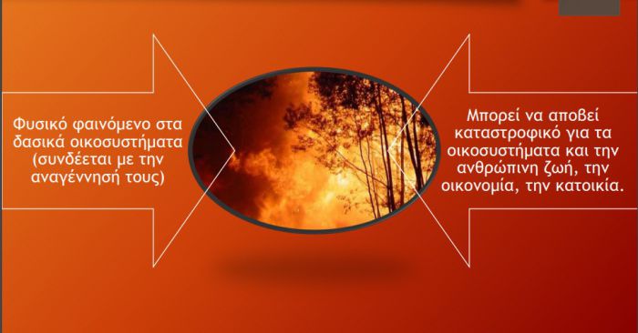 Προσλήψεις θα γίνουν στις δασικές υπηρεσίες για την πρόληψη πυρκαγιών