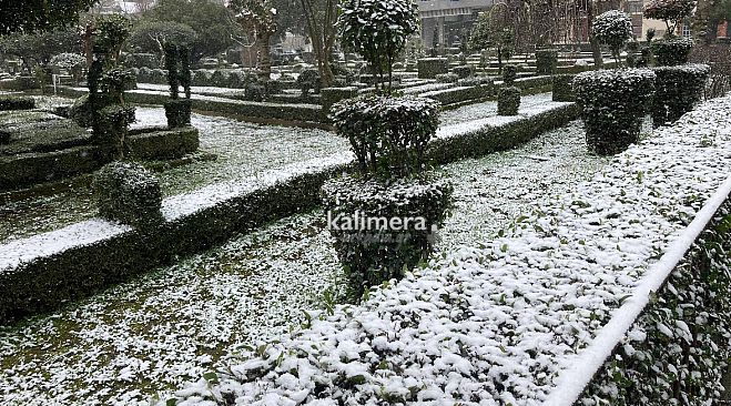 &Eta; "&Mu;ή&delta;&epsilon;&iota;&alpha;" &delta;&epsilon;&nu; έ&phi;&epsilon;&rho;&epsilon; &pi;&omicron;&lambda;ύ &chi;&iota;ό&nu;&iota; &sigma;&tau;&eta;&nu; &Tau;&rho;ί&pi;&omicron;&lambda;&eta;! (vd)
